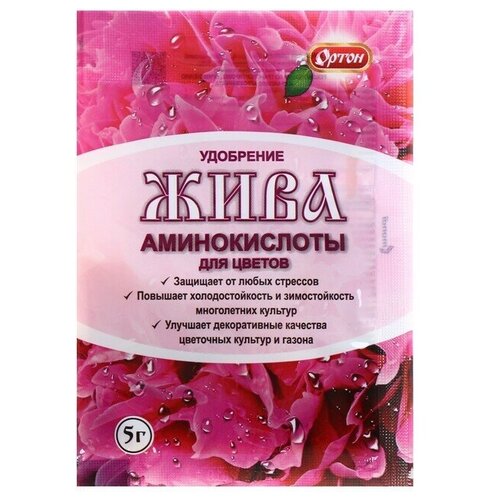 ������ ������ ��������� �� ����������� ���� ��� ������, 5 � ����