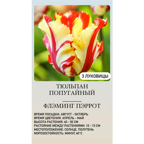 ������ ������ ������� �������� ����������� ������ ����