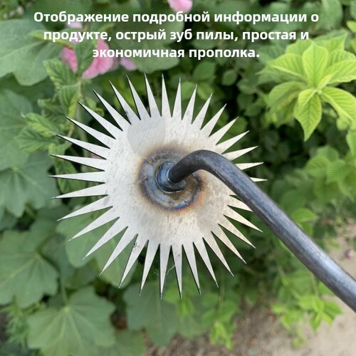 ������ ������ ������� ���������� ��� �������� �������� - ������� ��������������, ��������� �����, �������� ������� � ������ ����