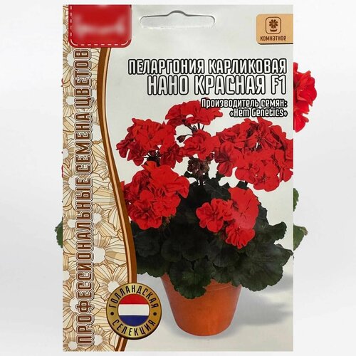 ������ ������ ������ ����������� ������ ��� ���� � ���� ���������� ������ ���������� ���� ������� ����