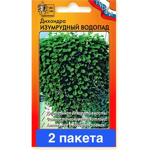 ������ ������ ����� �������� ���������� ������� F1 2 ������ ����