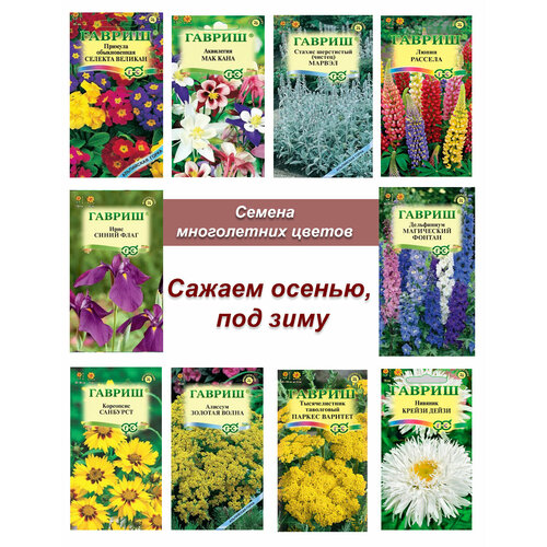 ������ ������ ������ �������������, ����� ����� ����������� ������ ����