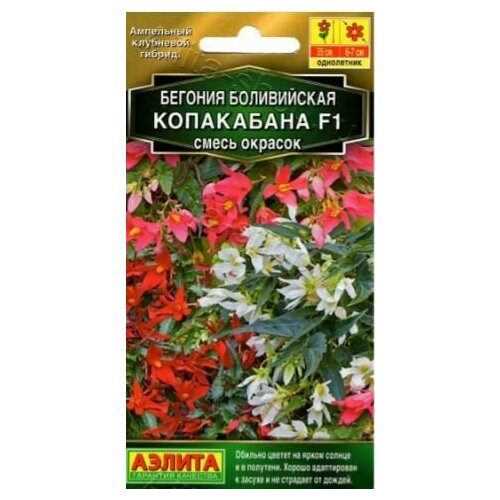 ������ ������ ������� ����������� ���������� F1 ( 1 �������� ) , ����� ������� ����