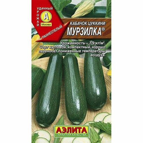 ������ ������ ������ ������� �������� ������� (������) 1� ����