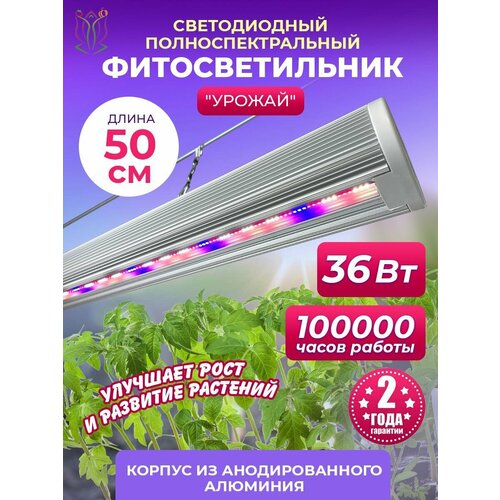 ������ ������ ��������� ��� �������� � ������� 