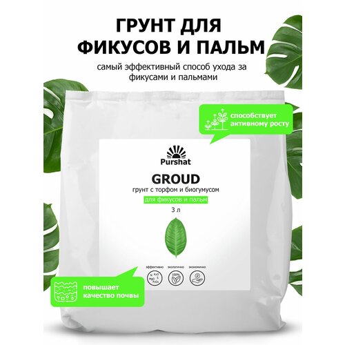 ������ ������ ����� (�����) ��� ������� � ����� ������. � ������ � ���������� ��� ��������� ����� � �������������� �������� (Purshat) 3 � ����