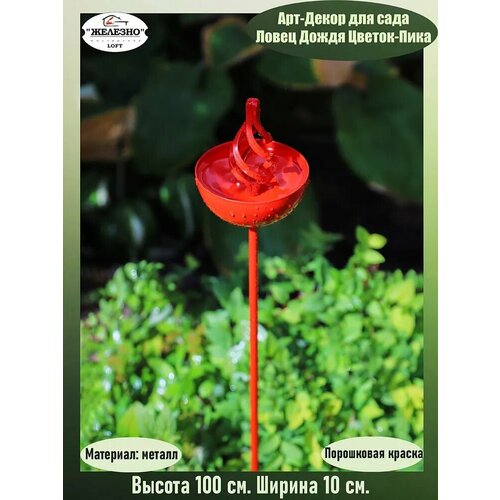 ������ ������ ������� ������ �� ������� 