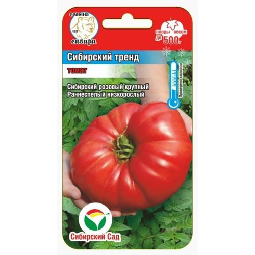 ������ ������ ������ ����� ��������� ����� 20�� ��� ������ (��������� ���) ����