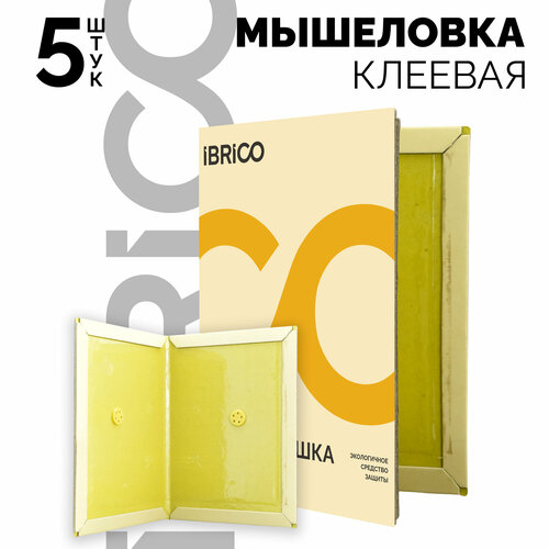 ������ ������ ��������� IBRICO, �������, ��� ���������, ��������� ������, 5 �� ����