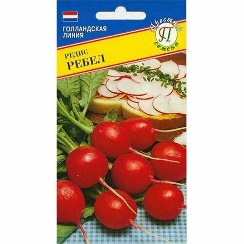 ������ ������ ������ ����� ����� F1 1� (�������) ����