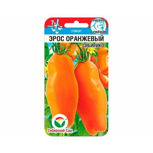 ������ ������ ������ ����� ���� ��������� 20�� ����� (��������� ���) ����