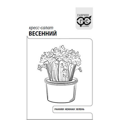 ������ ������ ������ �����-����� �������� 1� ������ (������) ����� ����� ����