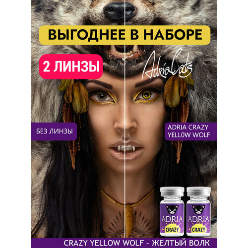������ ������ ����� ������� ���� ADRIA Crazy, YELLOW WOLF, ������������, ����������� -0,00, 2 ����� ��� ��������� ����