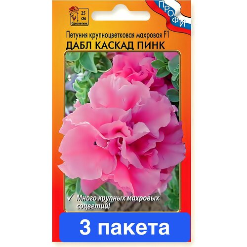 ������ ������ ����� ������� ���� ������ ���� F1 �������� 3 ������ ����