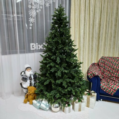 ������ ������ ��� ������������� ���������� �����+���, 270 �� ����