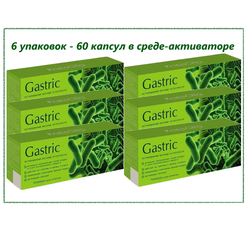  Gastric KapsOila ( )    , , 6   10 . -.   -     , -,   