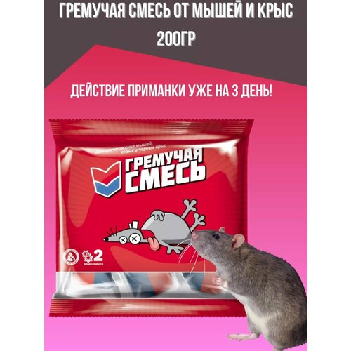 ������ ������ ������ ��� ����� � ���� �������������� 200�� ����