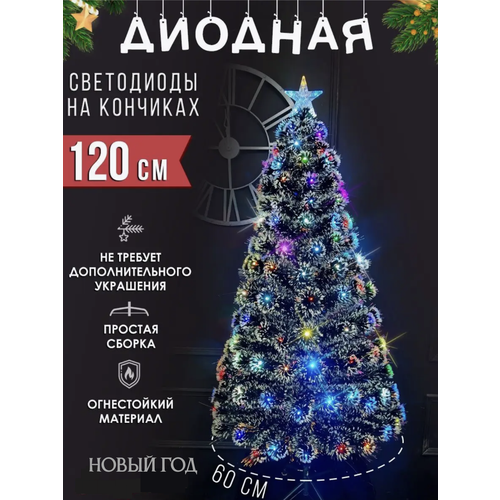 ������ ������ ���� ������������� ������������, ���������� 120 �� ����