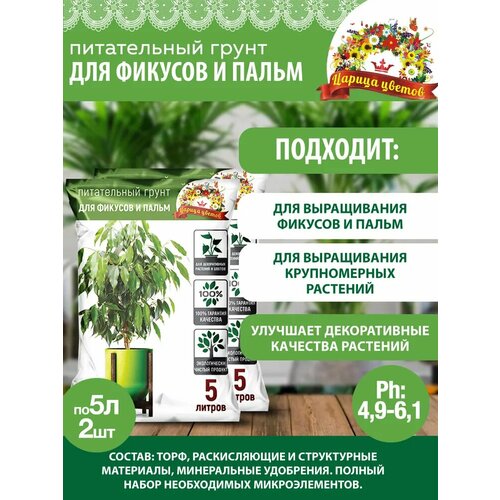 ������ ������ �������� ���������� ������ ������ ��� ������� � �����, 5�, 2 ����� ����