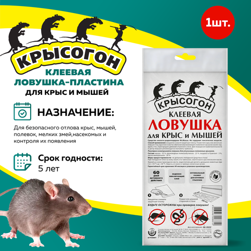 ������ ������ �������� ������� �������-�������� ��� ����� � ���� ����