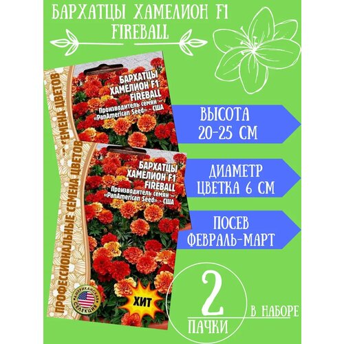 ������ ������ ������ �������� Fireball �������� F1,2 �������� ����