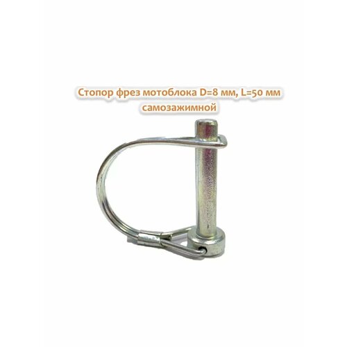 ������ ������ ������ ���� ��������� D -8 ��, L - 50 (2��) ����