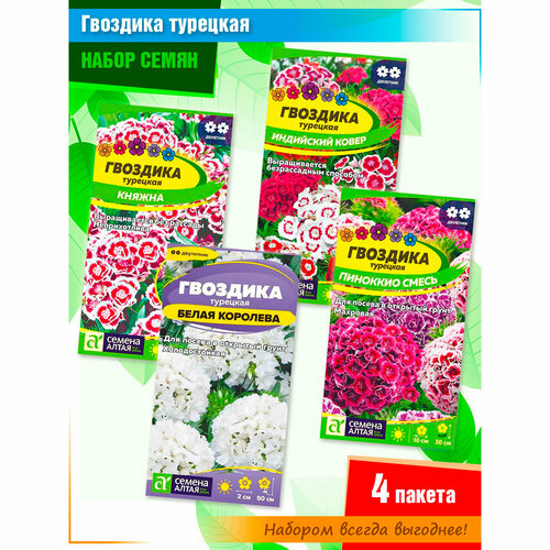 ������ ������ ����� ����� �������� �������� 