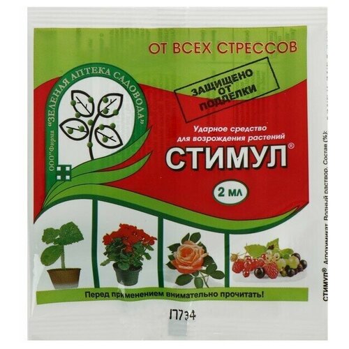 ������ ������ �������� �� ������� �������� ������, ����������� ������, 2 �� ����