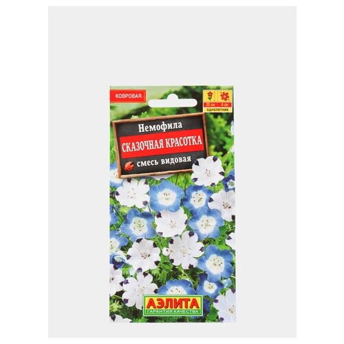 ������ ������ ������. �������� 