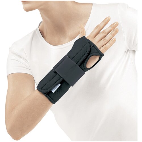 ������ ������ Orlett ����� �� ������������� ������ WRS-202, ������ M, ������ ����