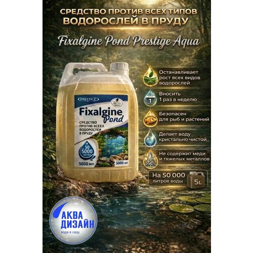 ������ ������ �������� ������ ���� ����� ���������� � ����� Fixalgine Pond Prestige Aqua, 5� (�� 250�3) ����