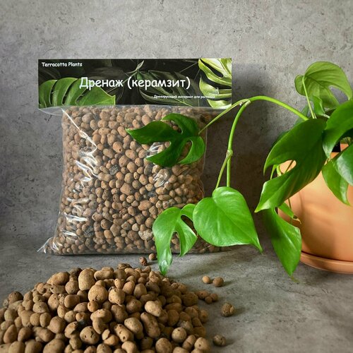 ������ ������ �������� ��� ��������, ������ ��� ������ Terracotta Plant, ��� ��������� ��������, 4 �, ������� 5-10��, �������� �������. ����