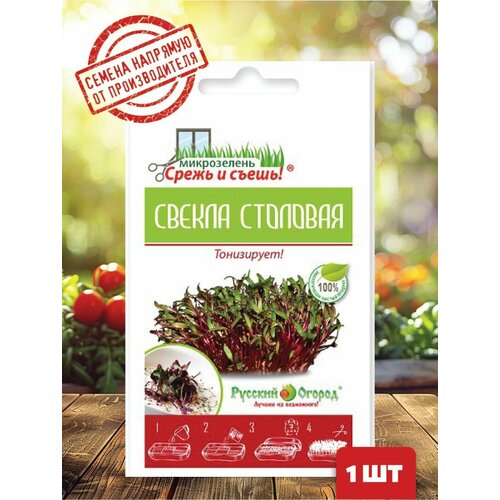 ������ ������ ����������� ������ 6 ��. ����