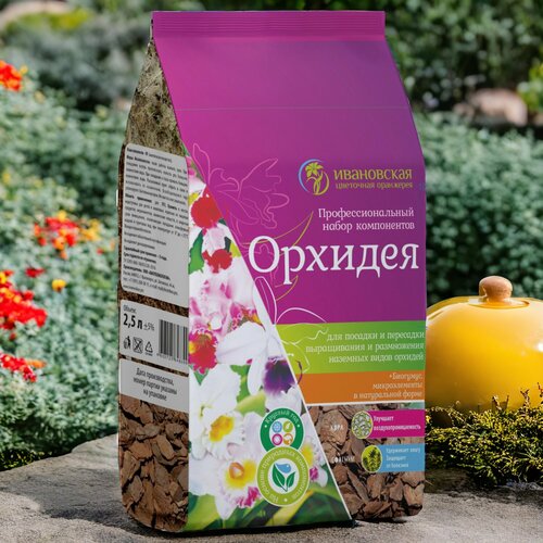 ������ ������ ����� ��� ������� �������� 2.5� / 1��. ���������� ��������� ���������. ����