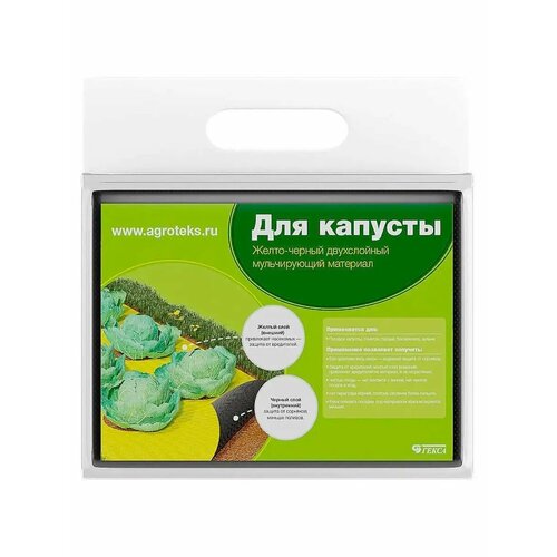 ������ ������ �������� �������� �������� , ������� �������� 80, �������� �������� �����-������, ������ �� ��,3�10� ����