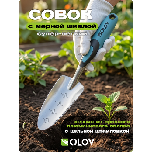 ������ ������ ����� ������� `OLOV ����` �������������, ����������, ����� � ������������ ������ ����