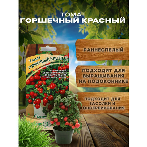 ������ ������ ������ ��������� ������� ���������, �������� ��� ������� � �����������. ����