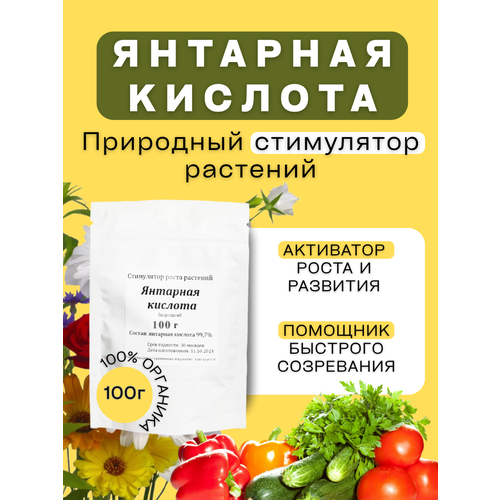 ������ ������ �������� ������� ��� ��������� �������� 100� � ����������� ���������� ����� � ���������� ����