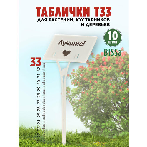 ������ ������ ������� �������� ��� ��������, Bissa �33, �����, 10 �� ����