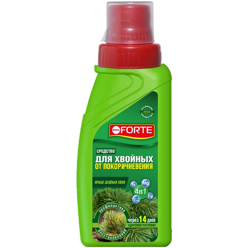 ������ ������ �������� Bona Forte 4 �1 �� �������������� ���� 285 �� ����