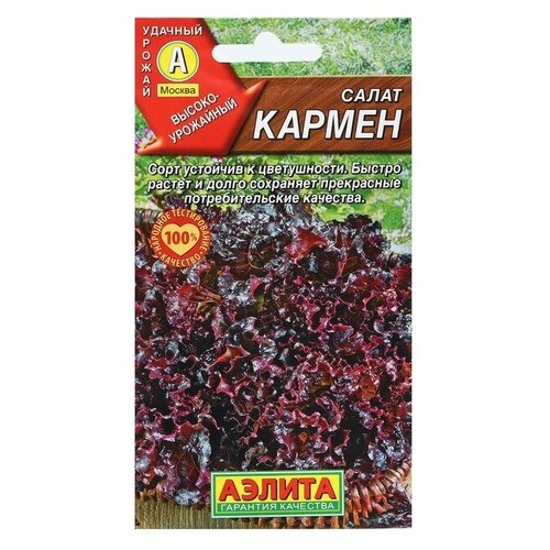 ������ ������ ����� 