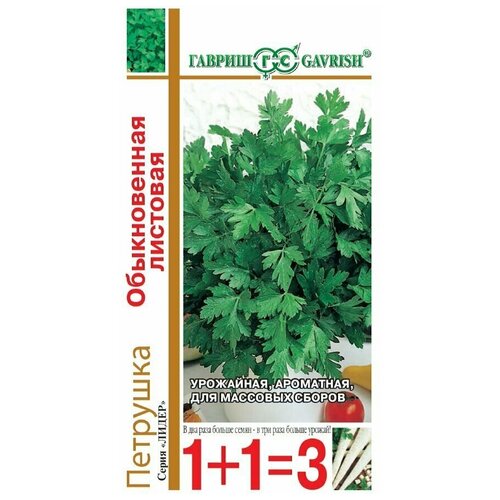 ������ ������ �������� 