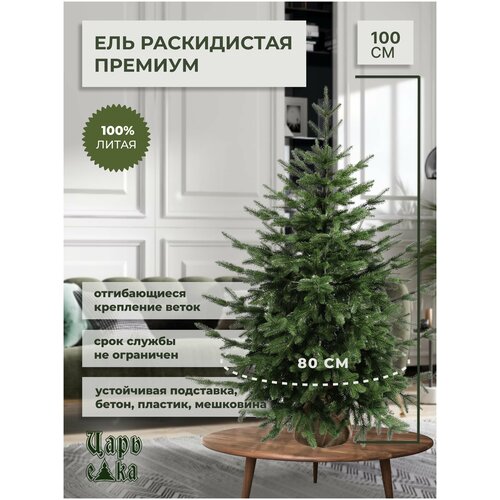 ������ ������ ������������� ���� ���� ���� ����������� ������� 100 �� ����