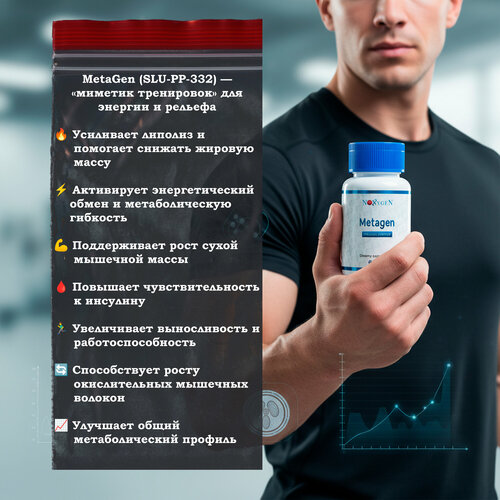 ������ ������ ������� ������� MetaGen (SLU-PP-332) 250��� / 60 ��������/������ ������������ �������. ��������� ������ �������. ������� �������� �����. ����