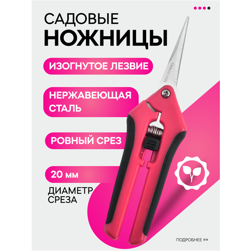 ������ ������ ������� ������� VasVas, � ���������� ��������, ��� ������ � ������, ����������������� ����� ����