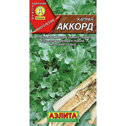 ������ ������ ������ (����) ������ (0,3 �), 2 ������ ����