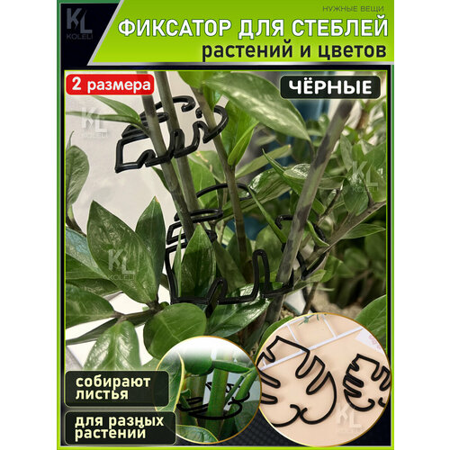 ������ ������ KoLeli / �������� ��� ����� ������� � �������, �������� �����, ������ ����