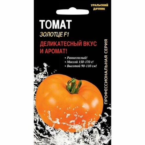 ������ ������ ������ ����� ������� F1 (�����������), �����������, ���� 12�� ����