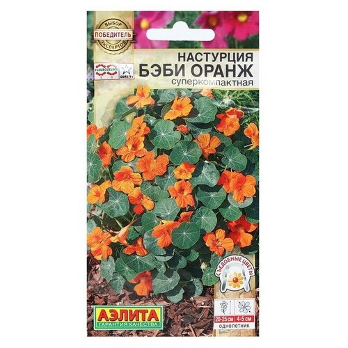 ������ ������ ������ ������ ��������� 