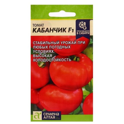 ������ ������ ������ ������ ����� ����� �������� F1, 5 ��. ����